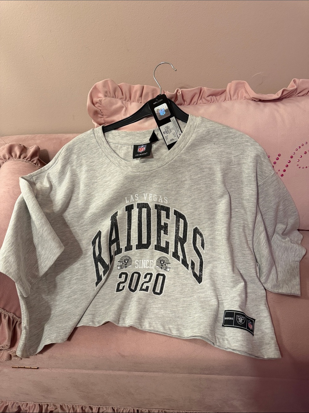 NFL Las Vegas Raiders Light Gray Graphic Cropped Tee - women’s